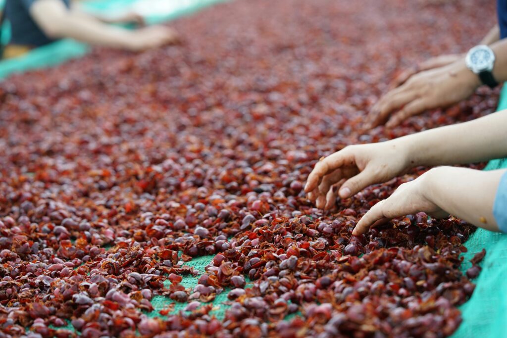 metoda washed 100% Arabica Kolumbia Excelso